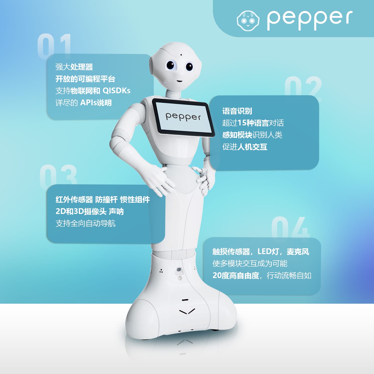 编程教育机器人